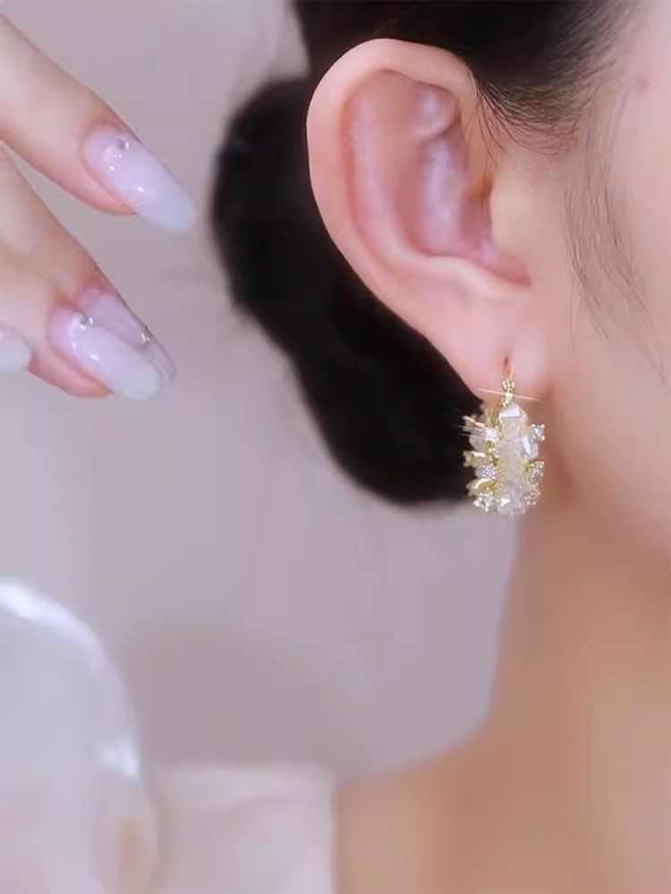 Bingluo Crystal Earrings Women's Accessories