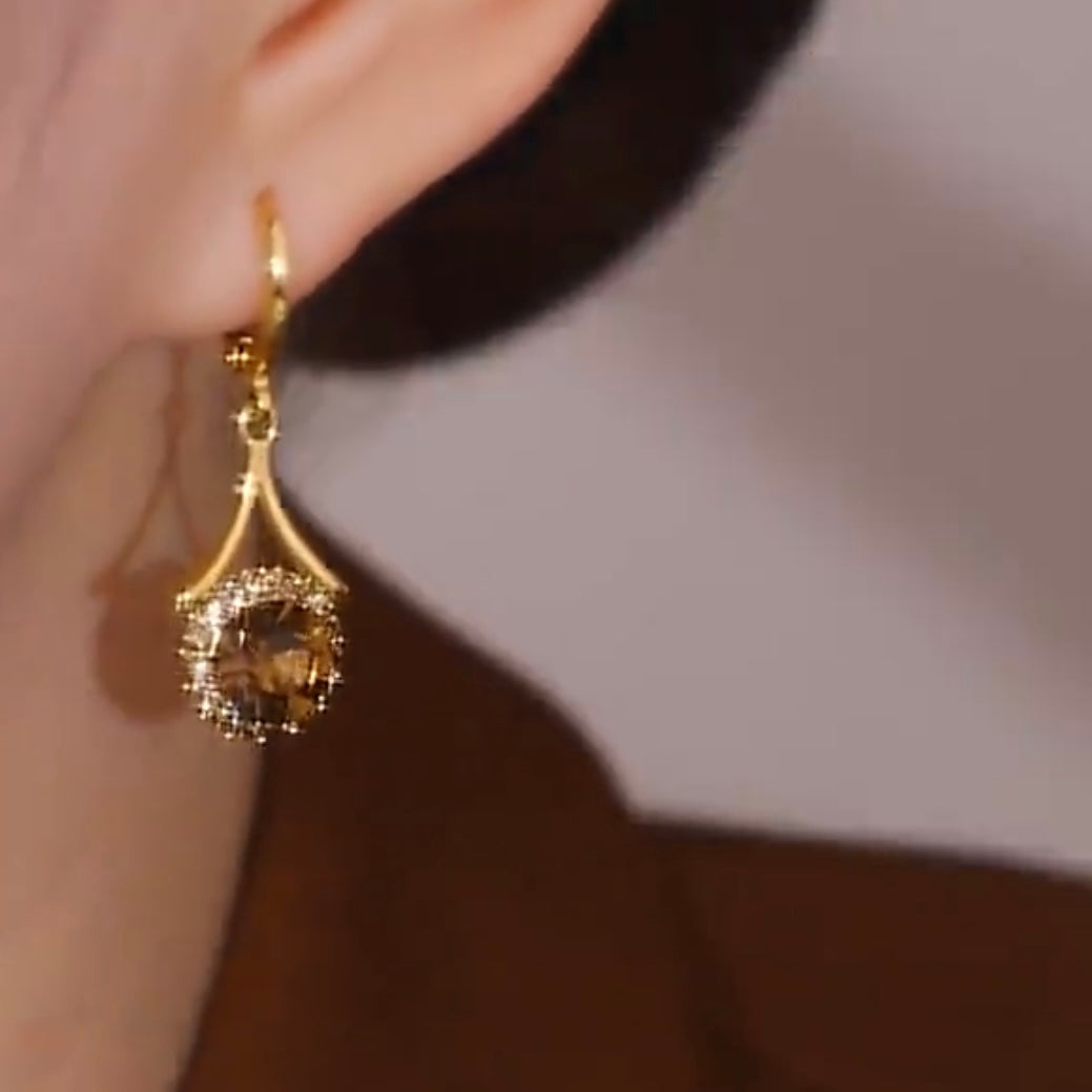 Micro-Diamond-Studded Elegant Round Brown Earrings For Women